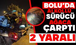 Bolu'da alkollü sürücü ağaca çarptı: 2 yaralı