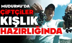 Çiftçiler kışlık hazırlığında: Pekmezlik üzümlerin hasadı yapıldı