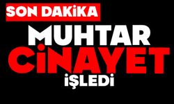 Muhtar cinayet işledi