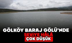 GÖLKÖY BARAJ GÖLÜ'NDE SEVİYE HÂLÂ ÇOK DÜŞÜK