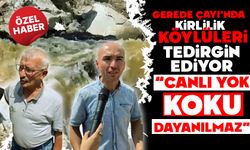 Gerede Çayı’nda Kirlilik Köylüleri Tedirgin Ediyor: “Canlı Yok, Koku Dayanılmaz”