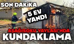 Aşağısoku Yaylası’nda kundaklama; 5 ev alevlere teslim oldu