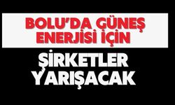 BOLU’DA GÜNEŞ ENERJİSİ İÇİN ŞİRKETLER YARIŞACAK