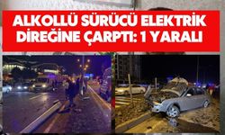 Alkollü sürücü elektrik direğine çarptı: 1 yaralı