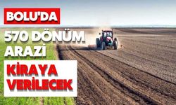 Bolu'da 570 dönüm arazi kiraya verilecek