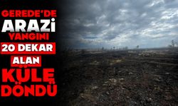 Gerede’de Arazi Yangını, 20 Dekar Alan Kül Oldu