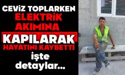 Ceviz toplarken hayatını kaybetti