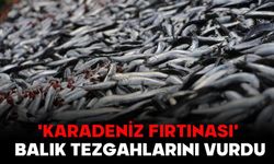 'Karadeniz fırtınası' balık tezgahlarını vurdu