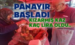 Dörtdivan panayırında kaz fiyatları belli oldu