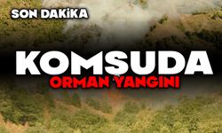 Komşuda orman yangını