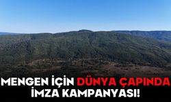 MENGEN İÇİN DÜNYA ÇAPINDA İMZA KAMPANYASI!