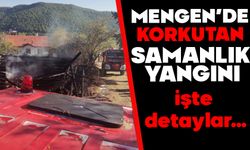 Mengen’de Korkutan Samanlık Yangını