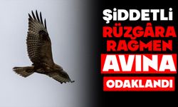 ŞİDDETLİ RÜZGÂRA RAĞMEN AVINA ODAKLANDI