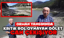 Orman yangınında kritik rol oynayan gölet, can çekişiyor