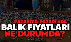Pazartesi Pazarı'nda Balık Fiyatları Ne Durumda?