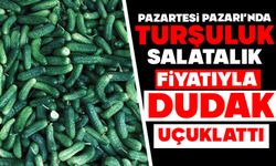 Pazartesi Pazarı’nda Turşuluk Salatalık Fiyatıyla Dudak Uçuklattı