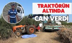 Traktörün altında can verdi