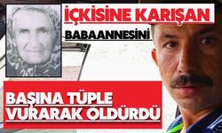 İçkisine karışan babaannesini başına tüple vurarak öldürdü