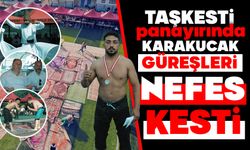 Taşkesti Panayırında Karakucak Güreşleri Nefes Kesti