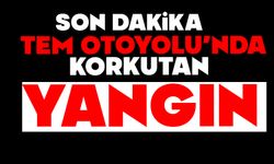 TEM Otoyolu'nda korkutan yangın
