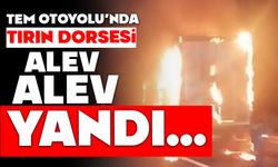 TEM Otoyolu’nda tırın dorsesi alev alev yandı