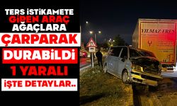 Ters istikamete giren araç ağaçlara çarparak durabildi: 1 yaralı