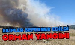 Gerede’de iki gün içinde üçüncü yangın paniği