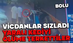 Bolu'da vicdanları sızlatan olay