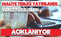 Maliye tebliği yayınlandı: Vergi yüzsüzleri açıklanıyor