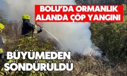 Bolu'da ormanlık alanda çöp yangını büyümeden söndürüldü
