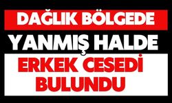 Dağlık bölgede yanmış halde erkek cesedi bulundu