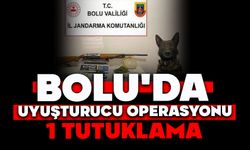 Bolu'da uyuşturucu operasyonu: 1 tutuklama