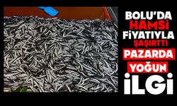 Hamsi Fiyatıyla Şaşırttı: Pazarda Yoğun İlgi