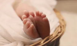 Sağlıklı gelişim için ilk adımlar: Yeni doğan uykusu ve beslenmesi