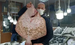 Sağlığa binbir faydaları var: Kasım ayı bitmeden bu balıkları tüketin