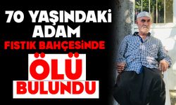 70 Yaşındaki Adam Fıstık Bahçesinde Ölü Bulundu