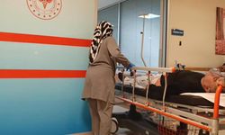 Mantar yedi hastanelik oldu