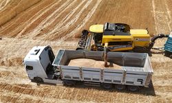 İthalat açıklaması bile arpanın ateşini düşürmedi