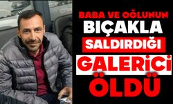 Baba ve oğlunun bıçakla saldırdığı galerici öldü