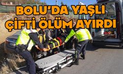 Bolu'da kaza yapan çifti ölüm ayırdı