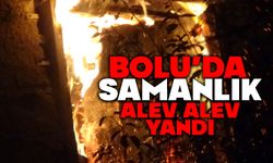 Bolu’da samanlık alev alev yandı