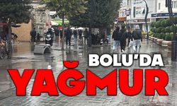Bolu'da yağmur etkili oldu