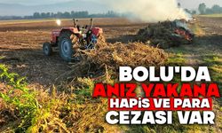 Bolu'da anız yakana hapis ve para cezası var