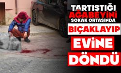Tartıştığı ağabeyini sokak ortasında bıçaklayıp evine döndü