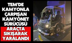 TEM'de kamyonla çarpışan kamyonet sürücüsü araçta sıkışarak yaralandı