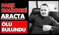 Park halindeki araçta ölü bulundu