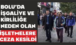 Bolu’da işgaliye ve kirliliğe neden olan işletmelere ceza kesildi
