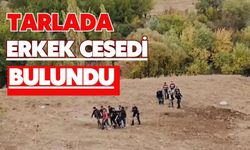 Tarlada erkek cesedi bulundu