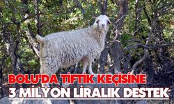 Bolu'da tiftik keçisine 3 milyon liralık destek