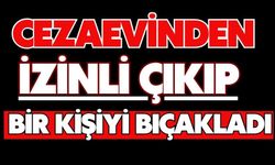 Cezaevinden izinli çıkıp bir kişiyi bıçakladı